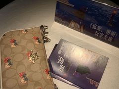 -武汉知音号