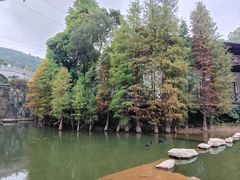 -广州市帽峰山景区