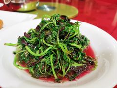 -宋园·金宴浙鲜馆(静安店)