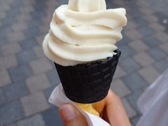 -仙境豆夫(步行街旗舰店)