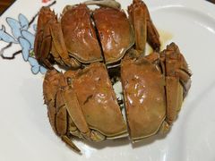 太湖清水蟹熟醉蟹-呼吸森林·生态农庄农家乐私房菜