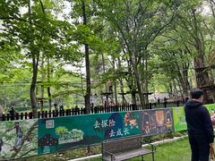 -紫金山山顶公园