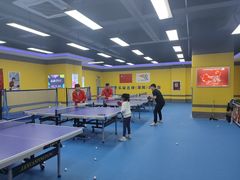 -乐旋乒乓球(深圳南油店)