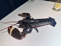 -Oyster Talks 四度蚝法餐厅