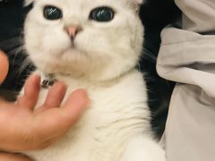 -佳雯宠物医院(四明中路分院)