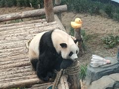 -大连森林动物园