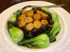 -国惠大酒楼(宝龙店)