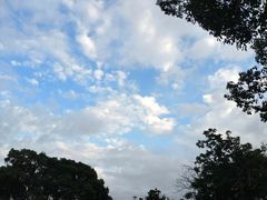 -福建鲤鱼洲酒店