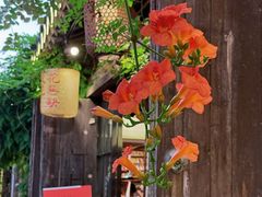 -熙盛源(凤凰街店)
