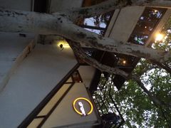 Ginger&nbsp;by&nbsp;the&nbsp;park-Ginger(兴国路店)