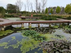 -东郊湿地公园