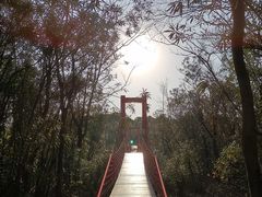 -上海吴淞炮台湾国家湿地公园