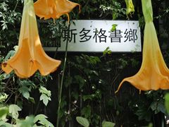 -斯多格书乡(北京大学畅春园店)
