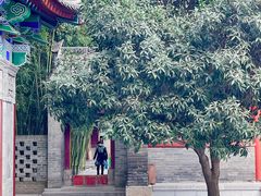 -罔极寺
