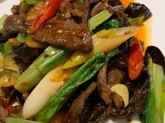 -陈麻婆豆腐总店