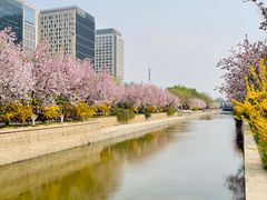 -海棠花溪(元大都城垣遗址公园)