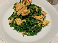 橄榄油鲜腐竹拌丝瓜尖-北平楼·烤鸭·北京菜(牡丹园店)