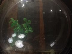 -牛德亨臻牛潮汕火锅(万邦时代店)