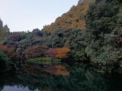 -之江大学-旧址