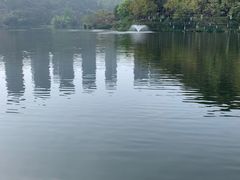 -重庆彩云湖湿地公园