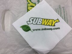 -SUBWAY赛百味(高新绿宝店)