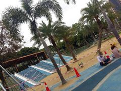 -宝安西湾红树林湿地公园