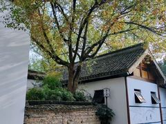 -西溪国家湿地公园