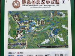 -野象谷景区