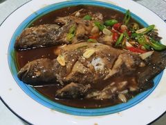 -呼吸森林·生态农庄农家乐私房菜