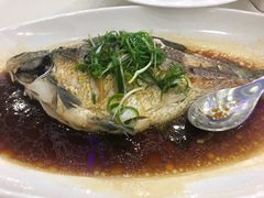 -新苑酒家(嘉宾路店)