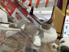 -凯德广场(学府店)