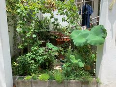 -臭鳜鱼人家·老字号徽菜