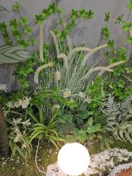 -八佰伴8008星级形象店