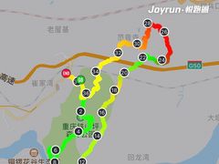 -铁山坪森林公园