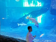 -华夏文旅西安度假区