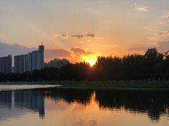 -莲花池公园