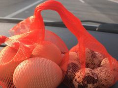 -深业半汤御泉庄温泉