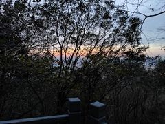 -紫金山山顶公园
