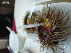 海胆蒸蛋&nbsp;-海岛渔村大酒店(云霄路店)