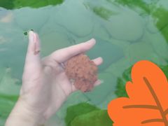 -杭州第一世界大酒店·云曼温泉