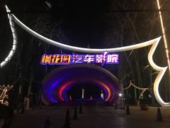 -枫花园汽车电影院(朝阳公园店)