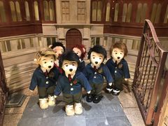 -济州岛泰迪熊博物馆