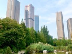 -大望京公园