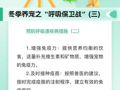 -瑞派申生动物医院·24H夜诊·国际动物医疗中心·骨外科(吴中路店)