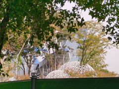 -后襄河公园