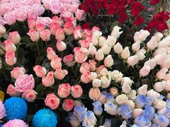 -越秀西湖花市(广州城市广场花卉店)