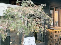 -Metal hands·铁手咖啡