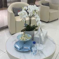 -agge蛋白医美