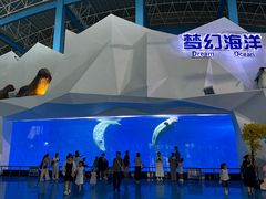 -泉城欧乐堡海洋极地世界