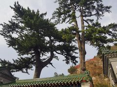 -圣莲山风景区